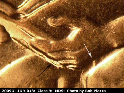 2009 Lincoln cent obverse, CopperCoins die 2009D•1DR•013.
