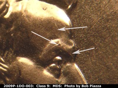 Die-stage B marker on 2009P•1DO•003 (2009 Doubled Die Obverse).