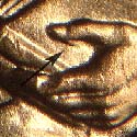 Pre-attribution photo for 2009P•1DR•023