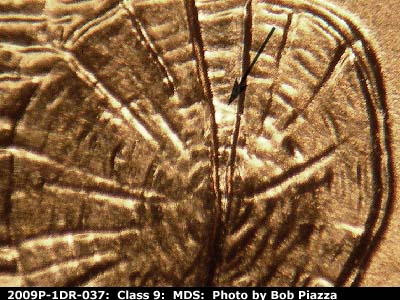 Die-stage B marker on 2009P•1DR•037 (2009 Doubled Die Reverse).