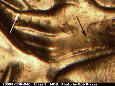 Die-stage B marker on 2009P•1DR•040 (2009 Doubled Die Reverse).