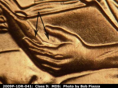 2009 Lincoln cent obverse, CopperCoins die 2009P•1DR•041.