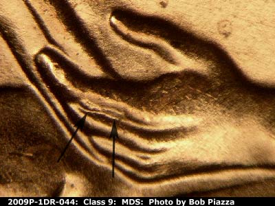 2009 Lincoln cent obverse, CopperCoins die 2009P•1DR•044.