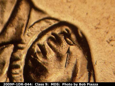 Die-stage B marker on 2009P•1DR•044 (2009 Doubled Die Reverse).