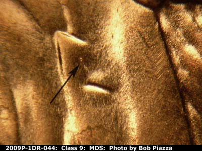 Die-stage B marker on 2009P•1DR•044 (2009 Doubled Die Reverse).