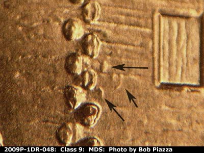 2009 Lincoln cent obverse, CopperCoins die 2009P•1DR•048.