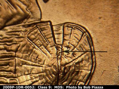 Die-stage B marker on 2009P•1DR•052 (2009 Doubled Die Reverse).