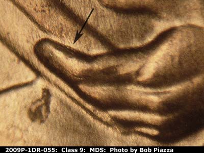 2009 Lincoln cent obverse, CopperCoins die 2009P•1DR•055.