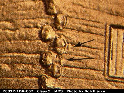 2009 Lincoln cent obverse, CopperCoins die 2009P•1DR•057.