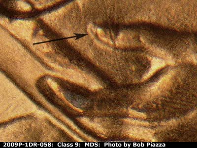 2009 Lincoln cent obverse, CopperCoins die 2009P•1DR•058.