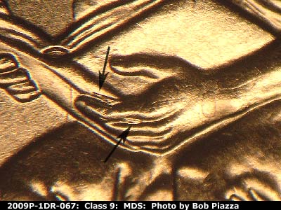 2009 Lincoln cent obverse, CopperCoins die 2009P•1DR•067.