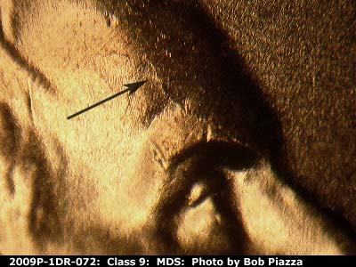 Die-stage B marker on 2009P•1DR•072 (2009 Doubled Die Reverse).