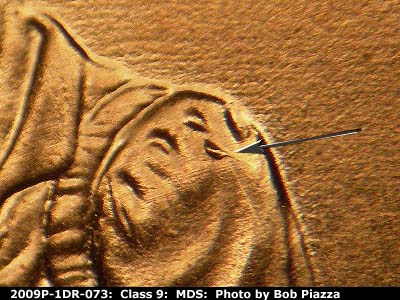 Die-stage B marker on 2009P•1DR•073 (2009 Doubled Die Reverse).