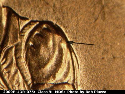 Die-stage B marker on 2009P•1DR•075 (2009 Doubled Die Reverse).