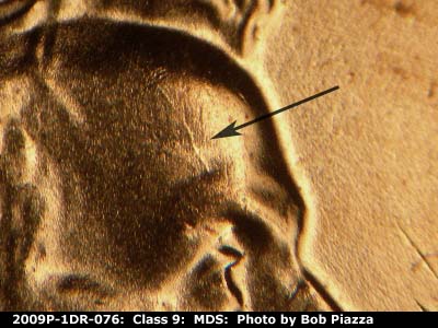 Die-stage B marker on 2009P•1DR•076 (2009 Doubled Die Reverse).