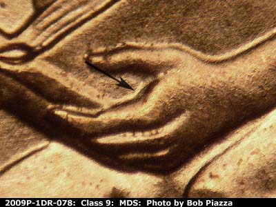 2009 Lincoln cent obverse, CopperCoins die 2009P•1DR•078.