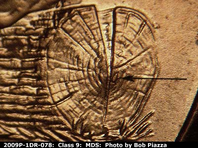 Die-stage B marker on 2009P•1DR•078 (2009 Doubled Die Reverse).