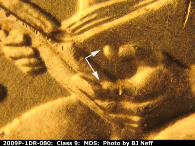 2009 Lincoln cent obverse, CopperCoins die 2009P•1DR•080.