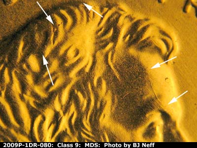 Die-stage B marker on 2009P•1DR•080 (2009 Doubled Die Reverse).