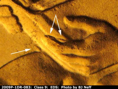 Die-stage A marker on 2009P•1DR•083 (2009 Doubled Die Reverse).