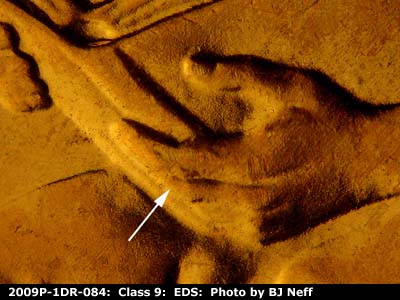 Die-stage A marker on 2009P•1DR•084 (2009 Doubled Die Reverse).