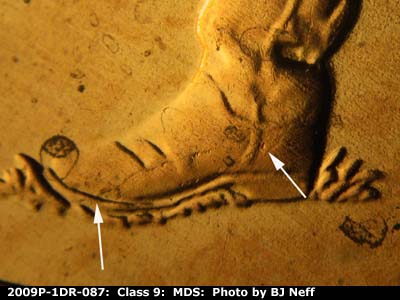 Die-stage B marker on 2009P•1DR•087 (2009 Doubled Die Reverse).