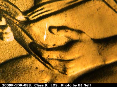 Die-stage C marker on 2009P•1DR•088 (2009 Doubled Die Reverse).