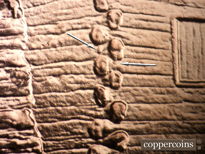 2009 Lincoln cent obverse, CopperCoins die 2009P•1DR•104.