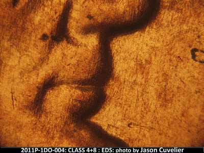 Die-stage A marker on 2011P•1DO•004 (2011 Doubled Die Obverse).