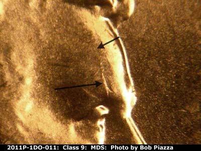 Die-stage B marker on 2011P•1DO•011 (2011 Doubled Die Obverse).
