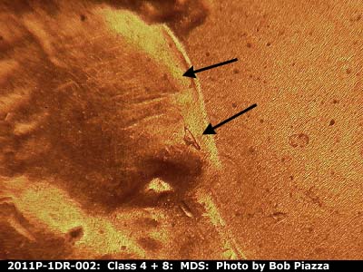 Die-stage B marker on 2011P•1DR•002 (2011 Doubled Die Reverse).