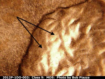 Die-stage B marker on 2012P•1DO•003 (2012 Doubled Die Obverse).