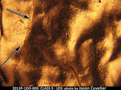 Die-stage C marker on 2013P•1DO•009 (2013 Doubled Die Obverse).