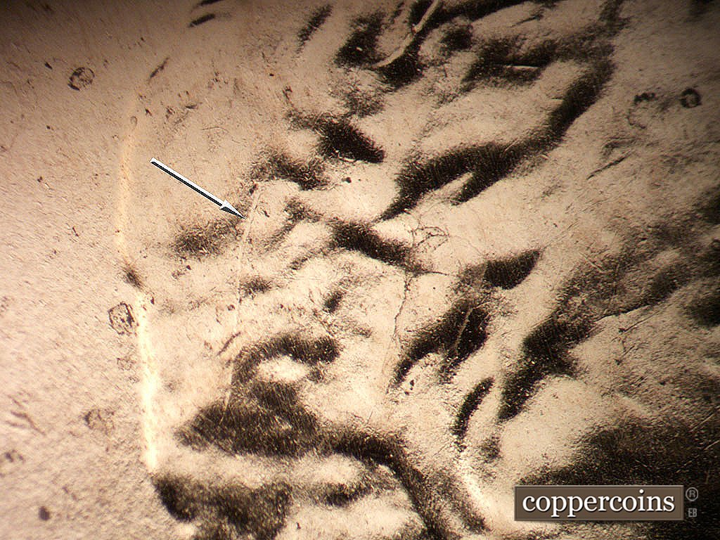 Die-stage C marker on 2019P•1DO•012 showing Die crack in hair.