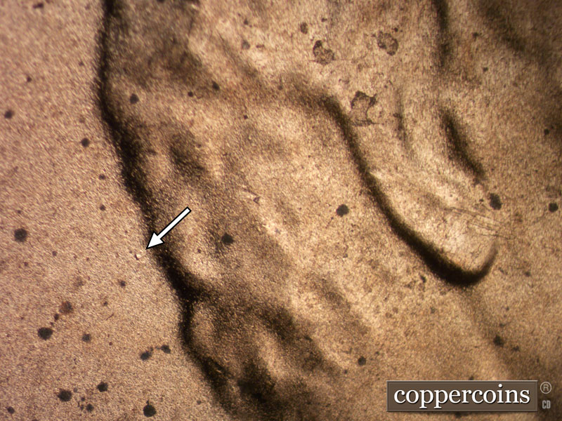 Die-stage B marker on 2020D•1DR•002 showing Die dot behind hair.