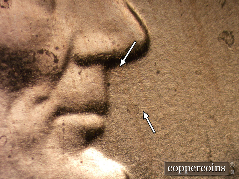 Die-stage B marker on 2020D•1DR•004 showing Small die scratches show in front of the mouth and beneath the nose.