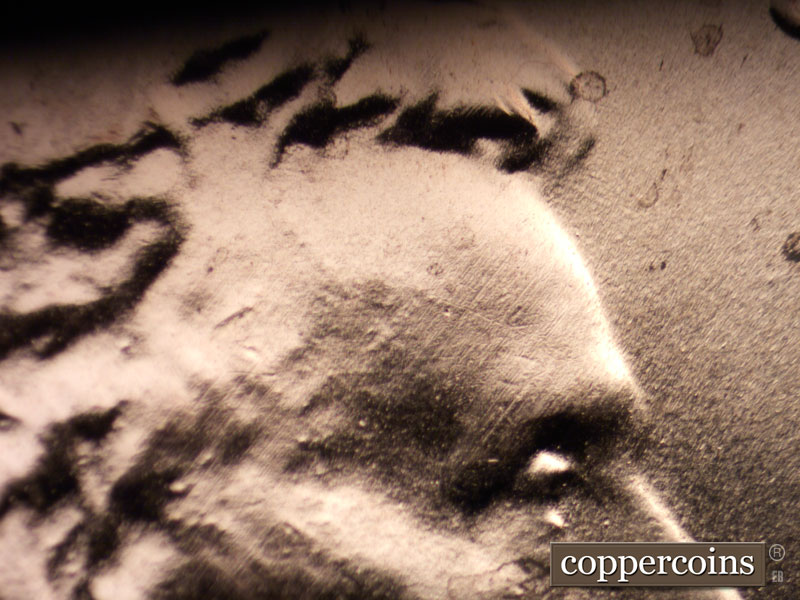 Die-stage B marker on 2020P•1DO•002 showing No die crack on forehead.