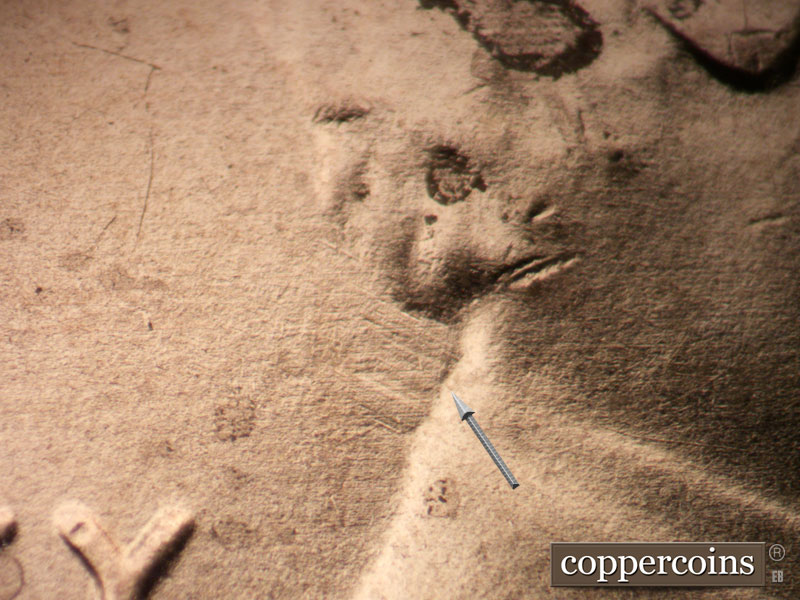 Die-stage B marker on 2020P•1DO•004 showing NW die scratches from back of neck.