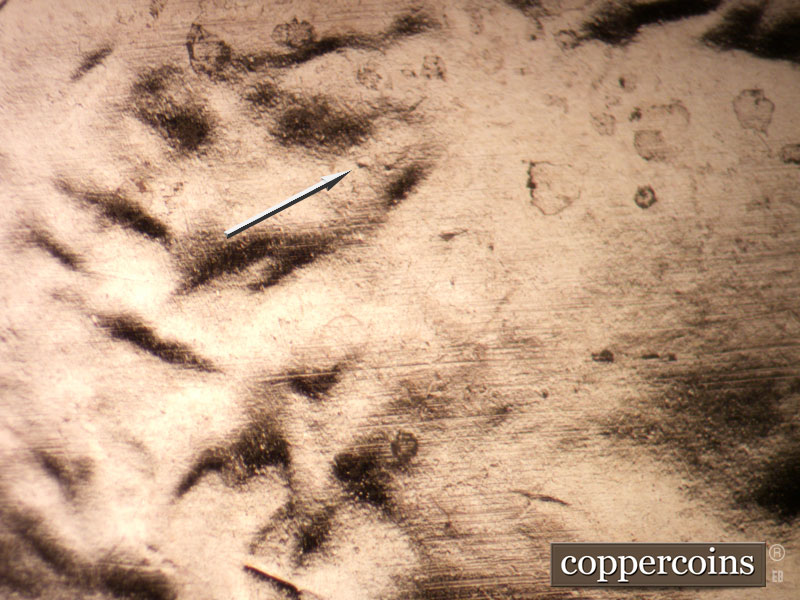 Die-stage B marker on 2020P•1DO•004 showing Die dot in hair.